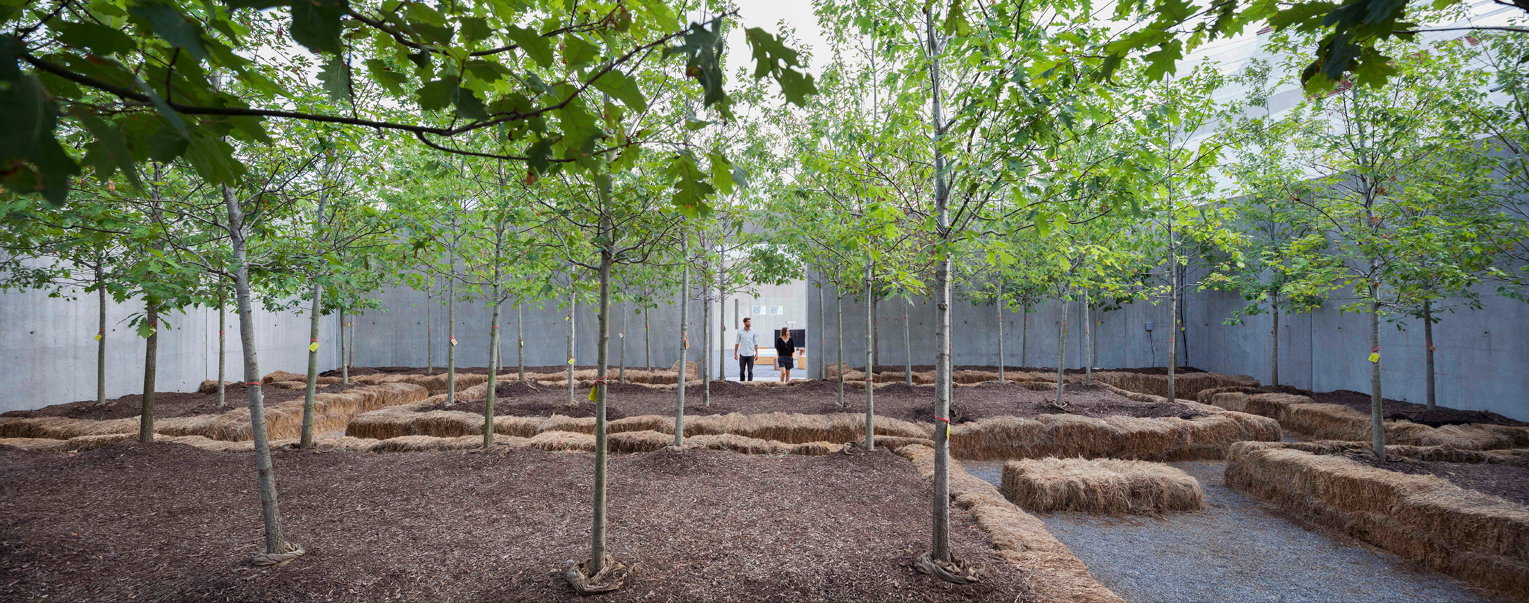 Holding Pattern, New York, 2011, photograph by Dean Kaufman